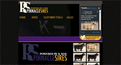 Desktop Screenshot of pinnaclesires.com