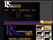 Tablet Screenshot of pinnaclesires.com